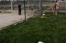 亞強體育施工案例:球場(chǎng)圍網(wǎng)YQ-0014,