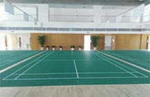 亞強體育施工案例:pvc羽毛球場(chǎng)YQ-003,